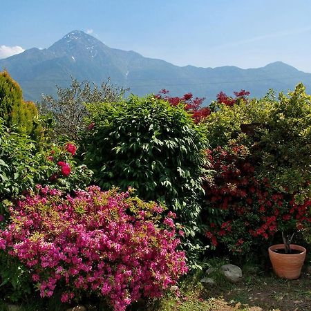 Casa Vacanze Al Boschetto Poncetta Exterior foto